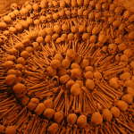 voyage perou - catacombes lima voyage perou - catacombes lima
