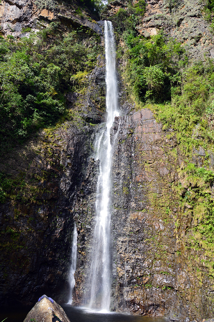 jungle-du-perou