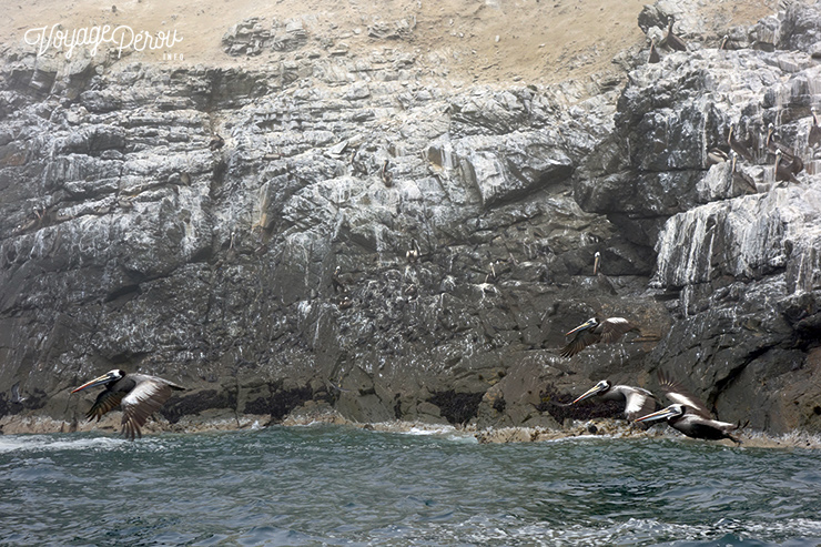 excursion casma perou