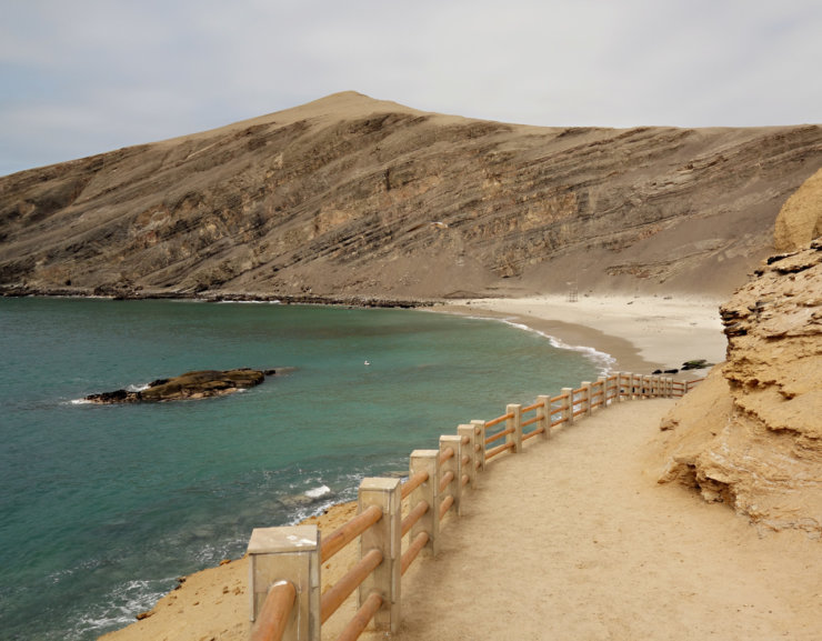 la-mina-paracas