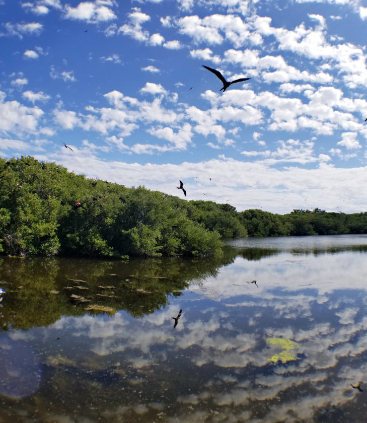 laguna azul contoy