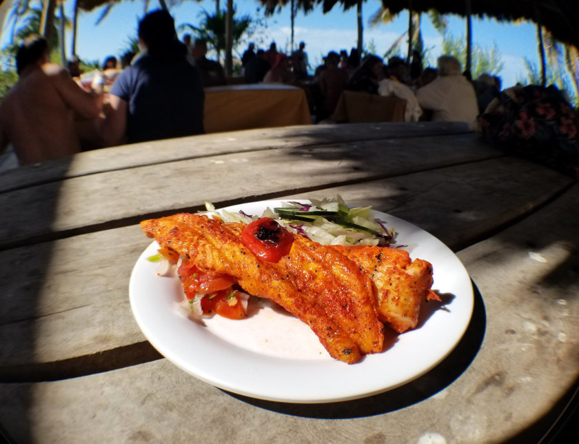 poisson contoy