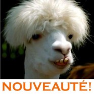 Le Perou : Nouveauté sur le blog!