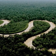 L’Amazonie devient l’une des 7 nouvelles merveilles naturelles