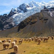Le trek de l’Ausangate