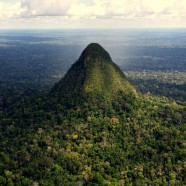 Sierra del Divisor en Amazonie