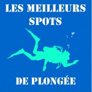 Les meilleurs spots de plongée au Pérou