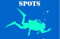 Les meilleurs spots de plongée au Pérou