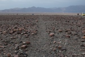 voyage perou - Ligne nazca