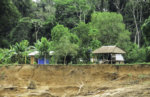 voyage perou tambopata amazonie