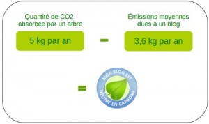 voyage perou - emission CO2