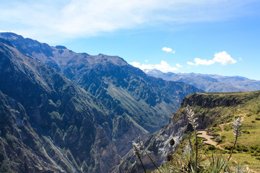 cruz del condor colca