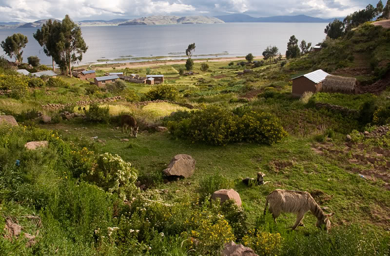 Llachón Titicaca