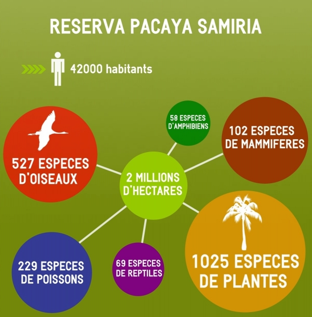 voyage perou Pacaya Samiria voyage perou Pacaya Samiria