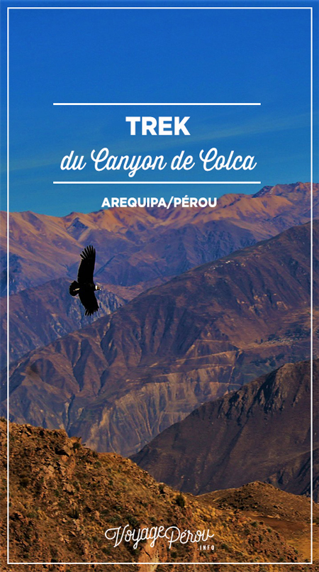 trek du canyon de colca