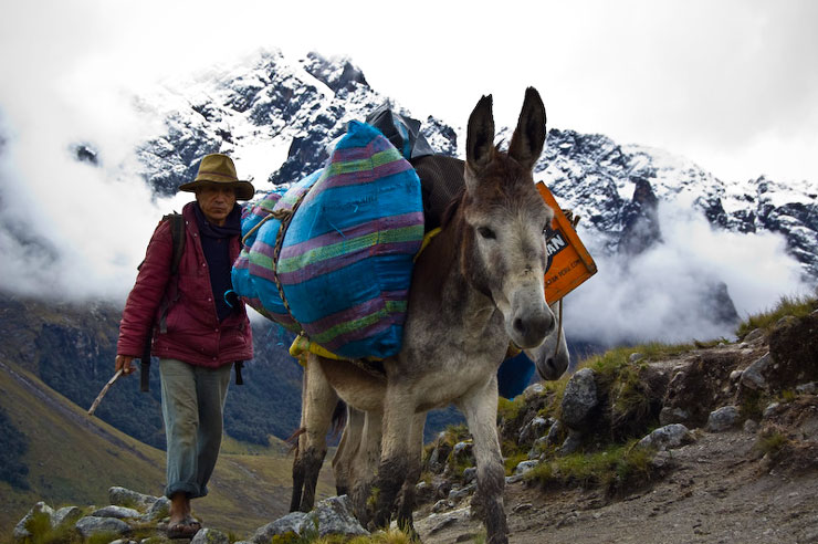 trek santa cruz peru