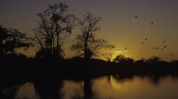 voyage perou pacaya samiria amazonie