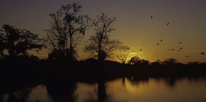 voyage perou pacaya samiria amazonie