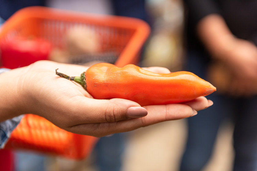 aji-peru