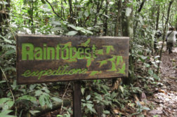 voyage perou amazonie tambopata
