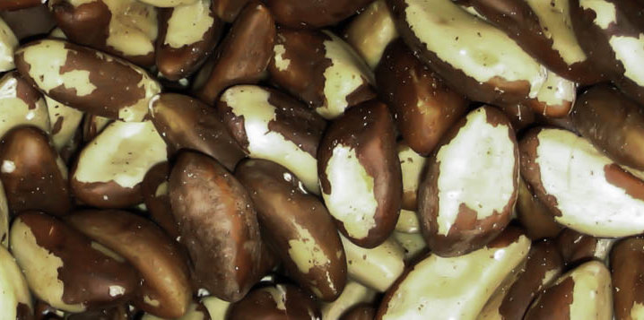 voyage perou noix amazonie