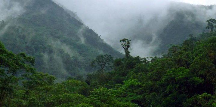 voyage perou alto mayo