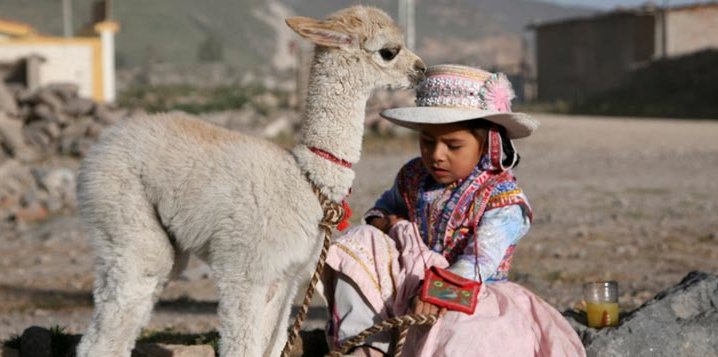 voyage perou arequipa