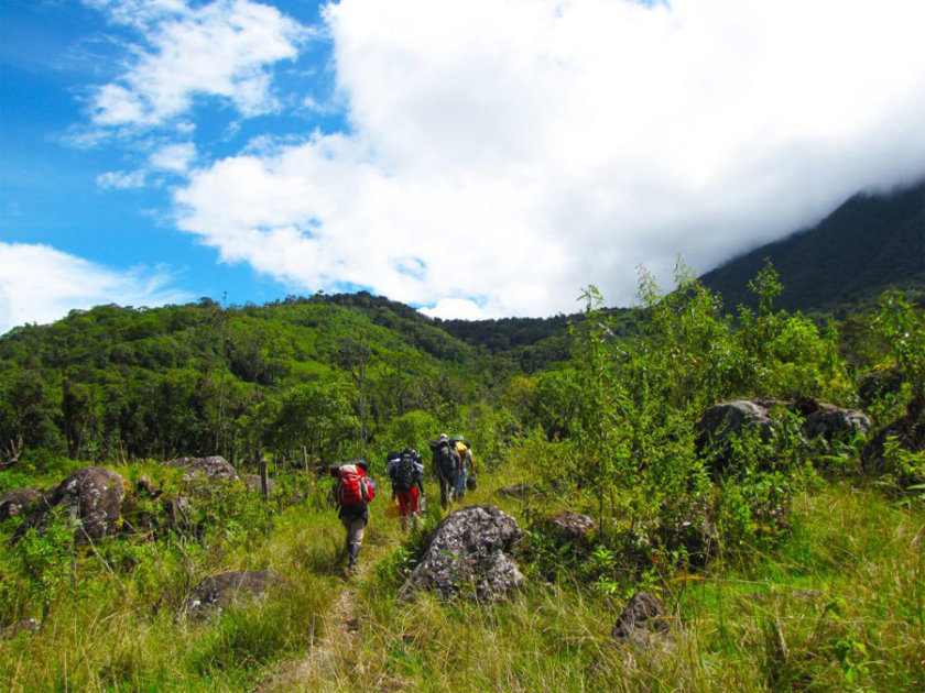 parque Yanachaga Chemillén