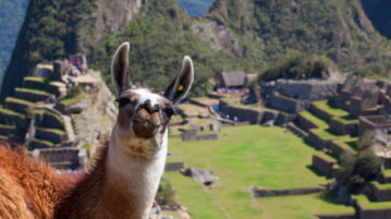 machu picchu telepherique