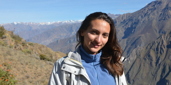 perou cuisine globe taster