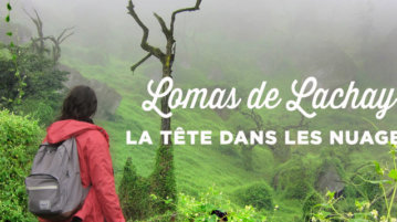 voyage perou reserve lomas lachay