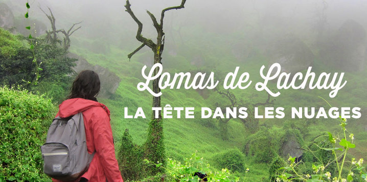 voyage perou reserve lomas lachay