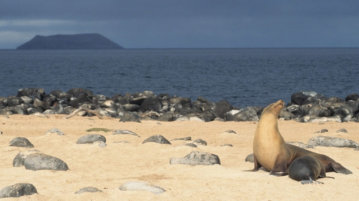 voyage galapagos top 10