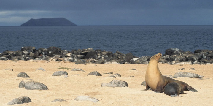 voyage galapagos top 10