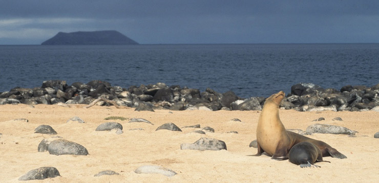 iles galapagos paysage