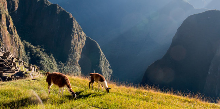machu picchu prix 2017