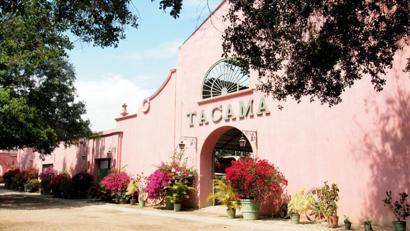 pisco-tacama