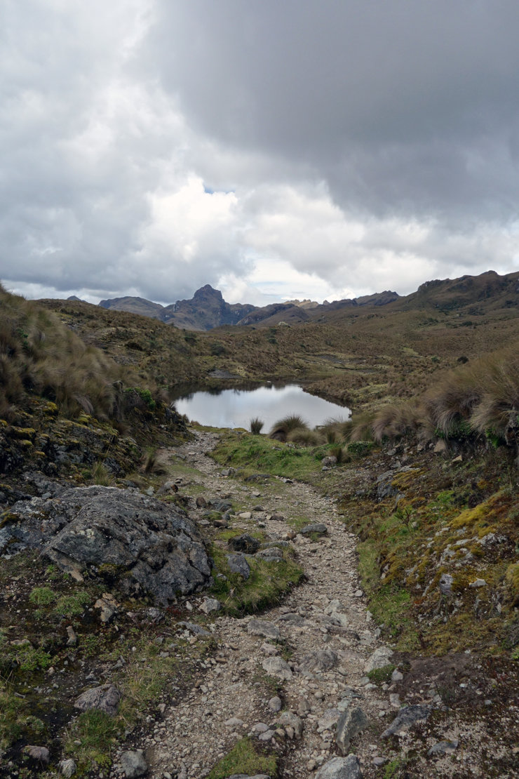 cajas-cuenca