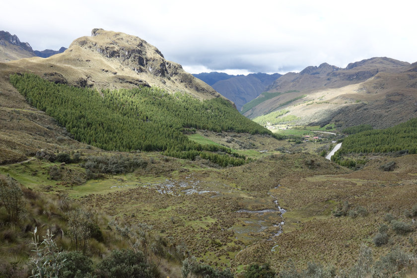 cajas-equateur