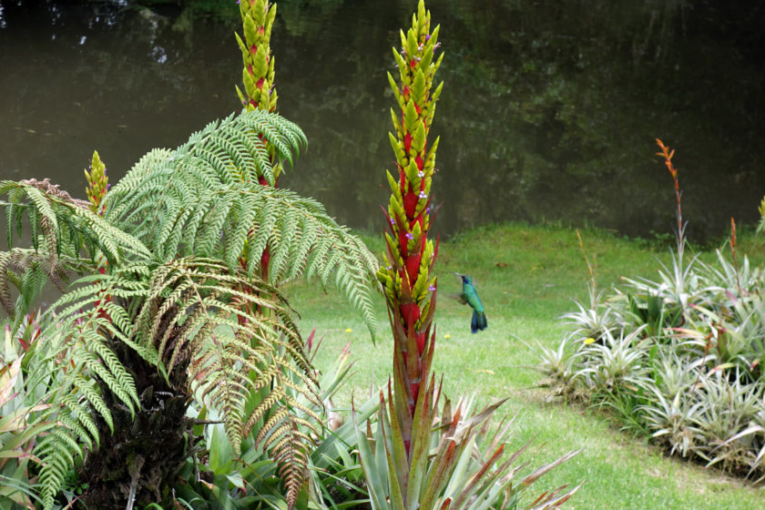 cuenca equateur parc pumapungo