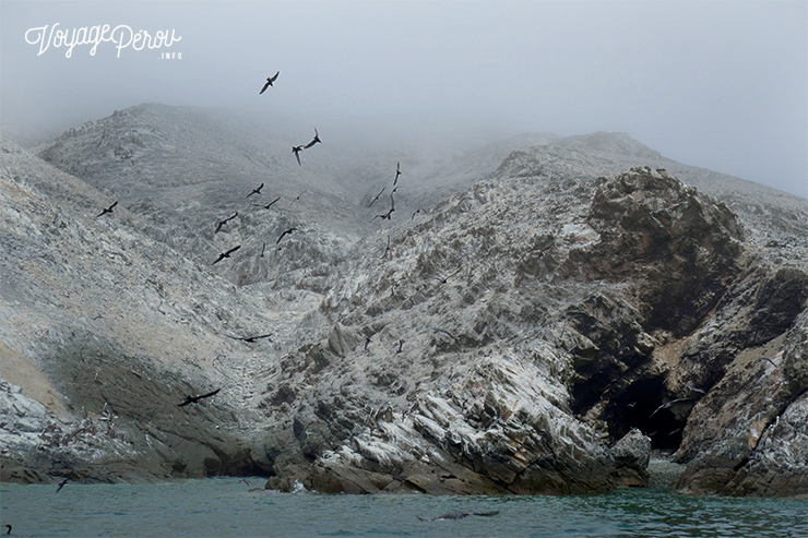 excursion tortugas casma