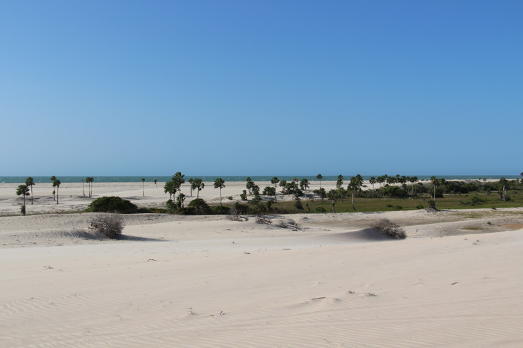 parc national de jericoacoara