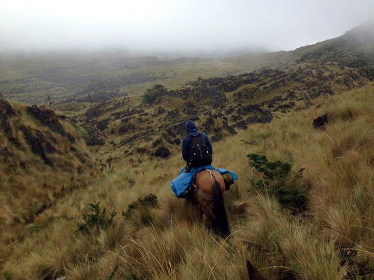 perou cheval chachapoyas