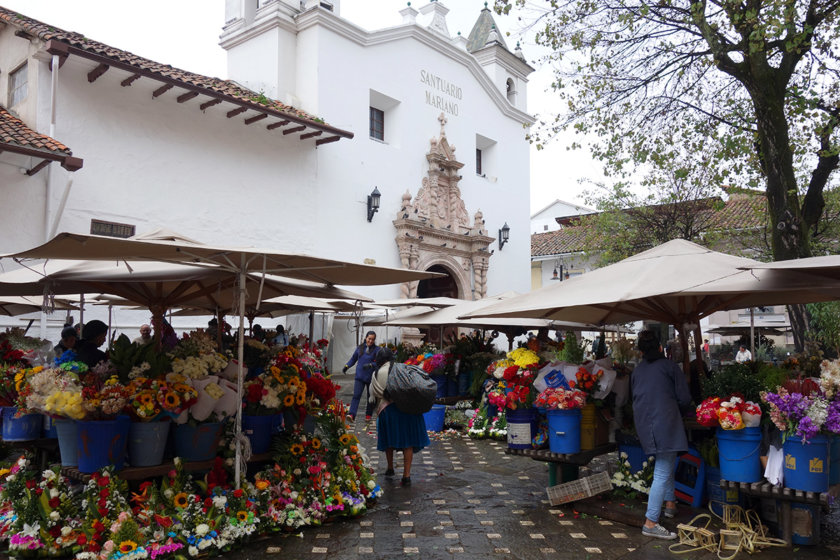 voyage equateur cuenca fleurs