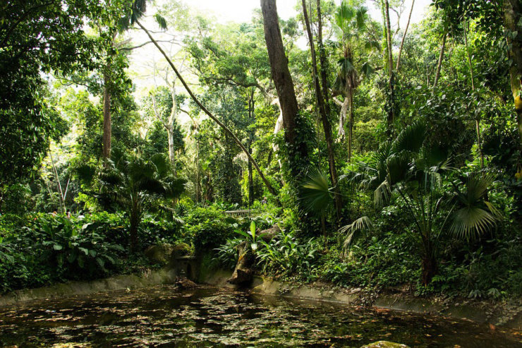 que faire a rio parque lage