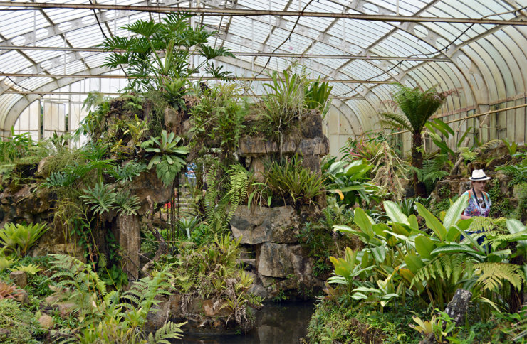 que faire a sao paulo jardin botanique