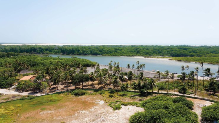 Vue-du-Phare-Mangrove-Maranhenses