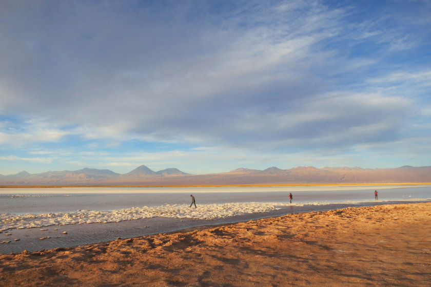 laguna-cejar-atacama