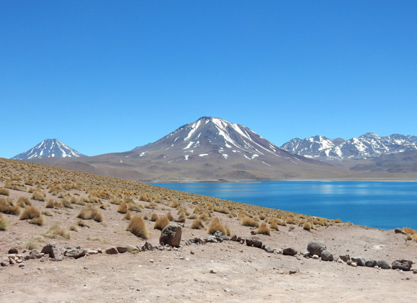 minique-atacama