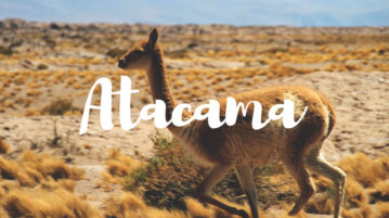 que-faire-atacama